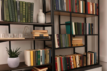 Collection of different books and decorative elements on shelves in home library