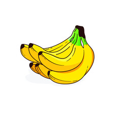 yellow fresh banana vector design
