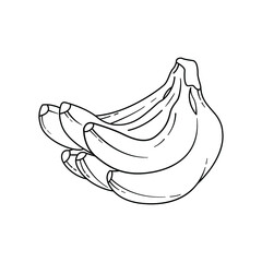 new vector banana outline