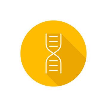 Dna flat icon with shadow