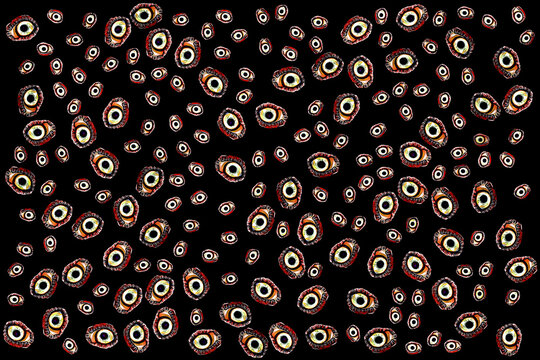 Illustration of eyes all over the black background