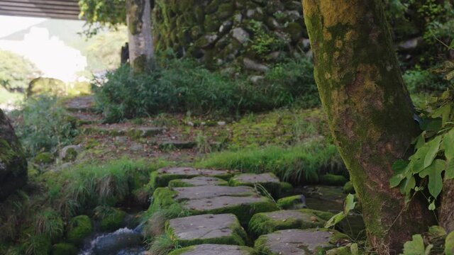 Mossy Secluded Path Through Gujo Hachiman, along Yoshida River, Gifu Japan