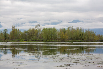 Obraz premium Dal Lake, Srinagar, India