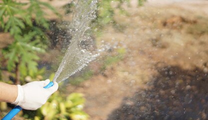 watering the garden
