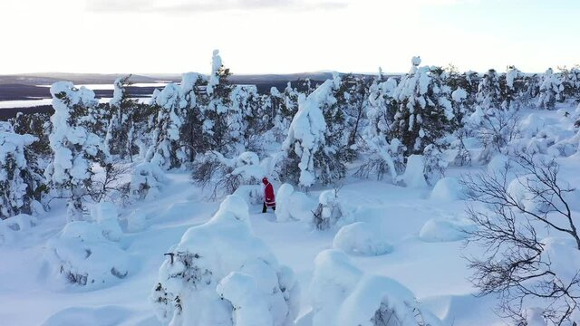 Aerial drone view of Santa hiking between snowy trees at the polar circle in Lapland