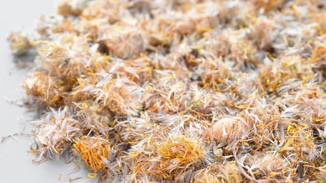 angle pan herb XuanFuHua or Inulae Flos or Japanese Inula Flower