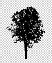 Tree silhouette for brush on white background