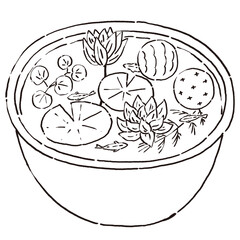 メダカと浮玉の入った睡蓮鉢