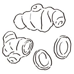 丸ごと生姜とスライスした生姜のイラストセット