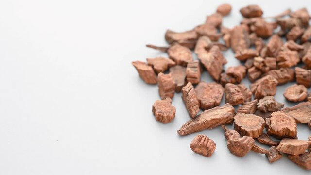 angle pan herb JiuXuDuan or  Dipsaci Radix or  Yellow Rice Wine Processed Asper - like Teasel Root