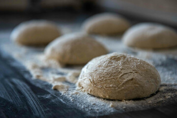 Selective-focus shot of homemade sourdough for making delcious pizza