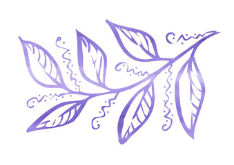 Watercolor violet leave on white background. Leafs on branch