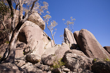 Woollool Woolloolni Aborignal Place, Boonoo State Forest