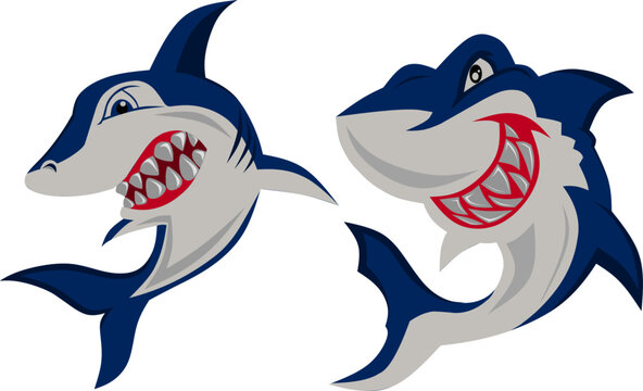 vector image of a cartoon shark.