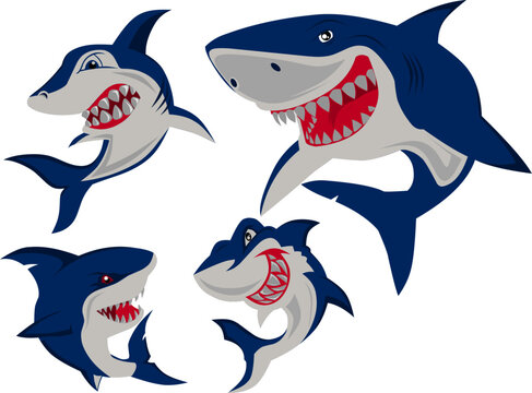 vector image of a cartoon shark.