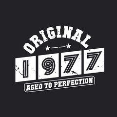 Obraz premium Born in 1977 Vintage Retro Birthday, Original 1977 Aged to Perfection