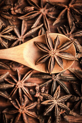 close up star anise