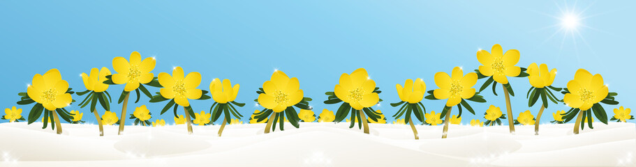 Winterlandschaft mit gelben Blumen, Winterlinge Illustration, Ostern, Banner
