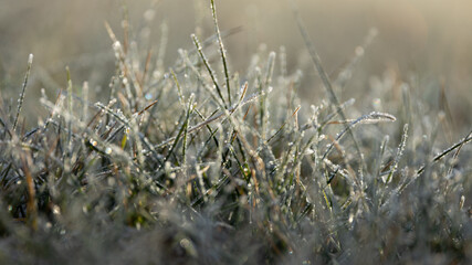 Frost on the grass in the cold season. Grass under the snow in spring time. Rime on grass close-up. Late autumn or early winter landscape. Spring frosts.