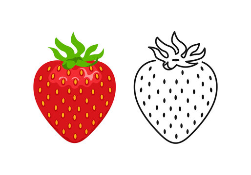 Strawberry color cartoon illustration and outline. Vector red berry. Flat icon.