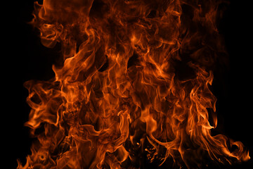 Fire flame burning and fire glowing on black background.