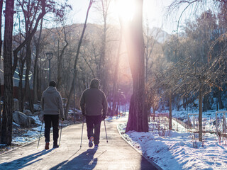 Men are engaged in Nordic walking in a winter park. Recreation fitness and healthy lifestyle...