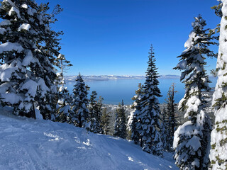 Scenic view of Lake Tahoe from the snow covered slopes of a ski resort on a bluebird winter day
