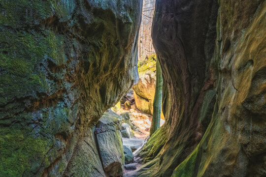 Split stone rock, inside view. Ternoshorskaya Lada. Dovbush Rocks. Carpathians, Kosiv district, Ivano-Frankivsk region, Ukraine