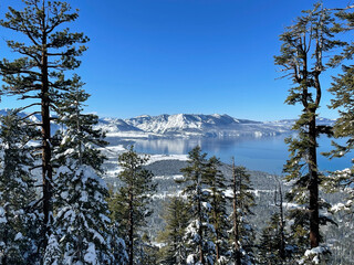 Scenic view of Lake Tahoe framed by snow covered trees, as seen from a ski resort on a bluebird...