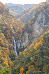 滝 秋 澗満滝