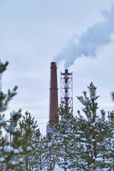 Two industrial chimneys smoking with smoke against background pine winter forest.