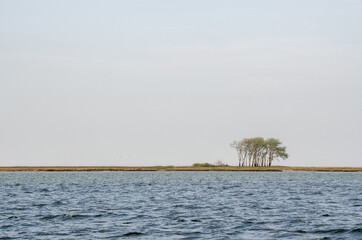 einsame Bäume an Land von See betrachtet