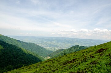 landscape in summer