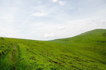 green field and blue sky