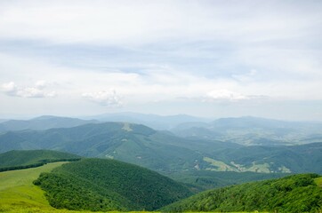 landscape in the summer