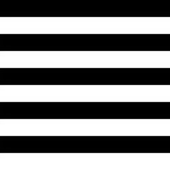 Gordijnen Zebra gestreept naadloos patroon, zwart-wit strepen succes en mislukking in het leven Stockillustratie © brovarky