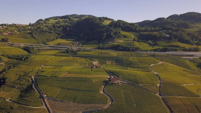 drone shot pan with rotation of the grape fields of Lavaux Oron, Wallis Switzerland at sunrise in 4k.
