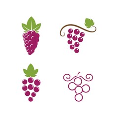 Grape with leaf logo
