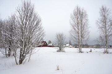 Fototapeta na wymiar Winter landscape, snow-covered village, peace and quiet