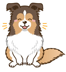 喜ぶシェルティ（セーブル）