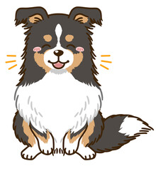 喜ぶシェルティ（トライカラー）