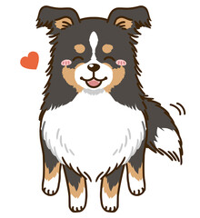 なつくシェルティ（トライカラー）