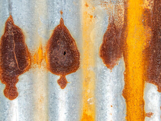 Rusty marks that look like leaf on the zinc plate wall with beautiful abstract and art pattern with...