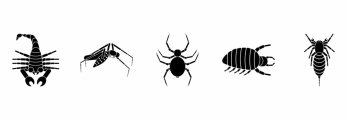 insect icon set, insect vector set sign symbol