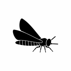 insect icon set, insect vector set sign symbol