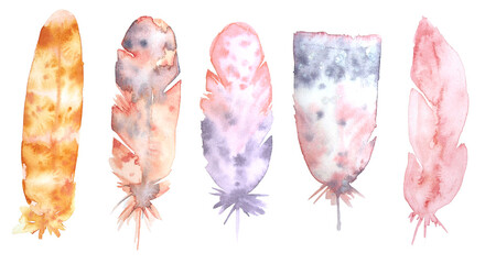 Delicate, pink and grey feathers by hand drawn in watercolor. Vintage style. Boho. Isolated on a white background.