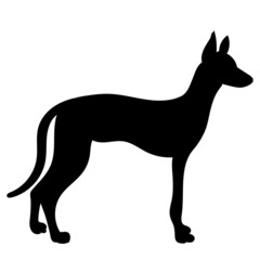 black silhouette dog standing isolated