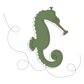 seahorse sketch, contour, vector, isolated