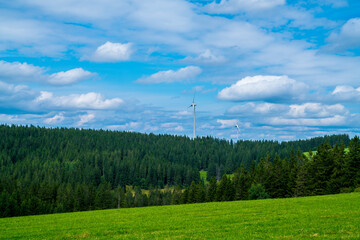 Fototapeta na wymiar Germany, Black forest nature panorama with green conifer tree landscape and wind turbines to generate green renewable energy