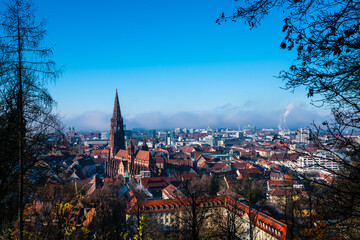 Germany, Freiburg im Breisgau skyline and ancient gothic muenster cathedral in winter with foggy atmosphere, panorama view above - obrazy, fototapety, plakaty